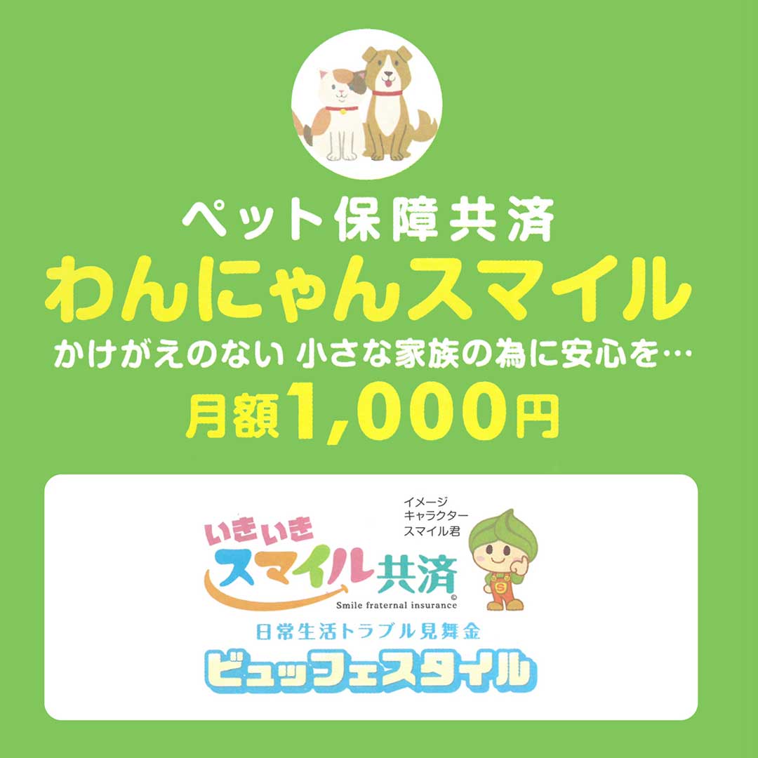 Next Aid（ネクストエイド）